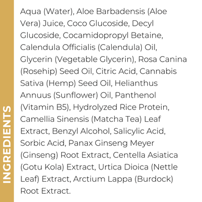Matcha & Ginseng Replenishing Cleanser - Samples
